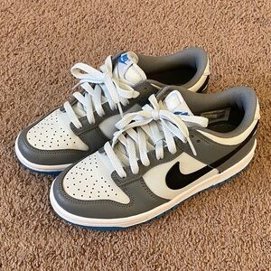 Nike Kids Black, Gray, Blue, and White Dunks Low